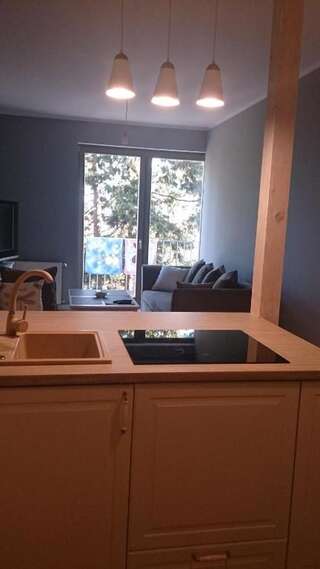 Апартаменты Apartament Wiktoria Шклярска-Поремба Апартаменты с 1 спальней-46